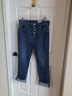 Cosmic Blue Love Plus Size (32) Button Up/High-Rise/Straight Leg/ Stretch Jeans